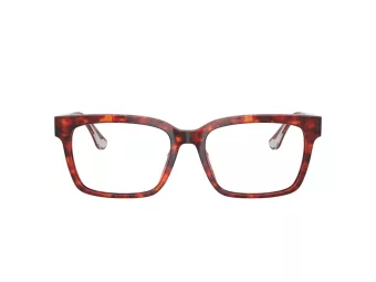 Ferrari FH 4008U 734 53 Men glasses