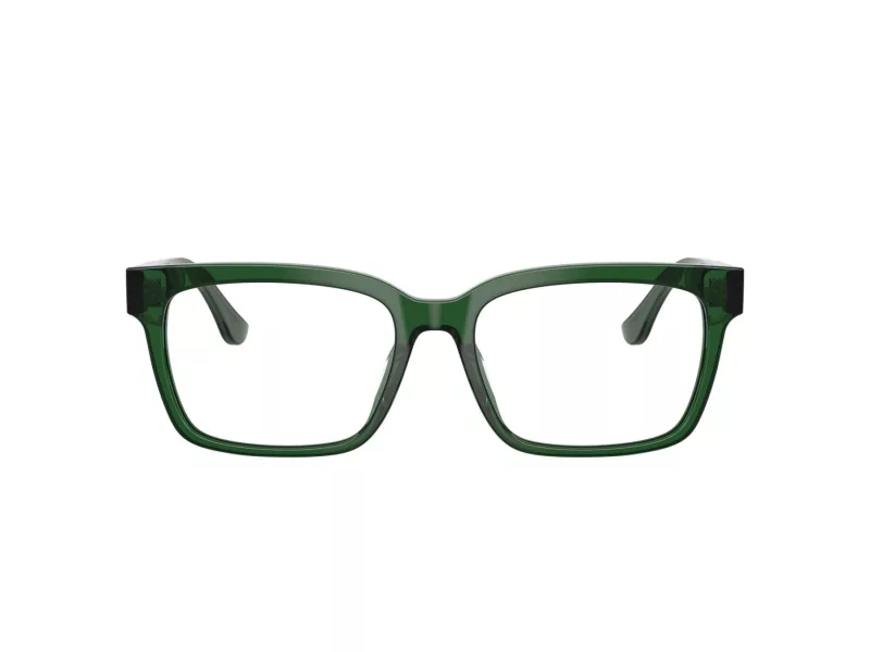 Ferrari FH 4008U 735 53 Men glasses