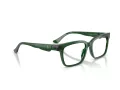Ferrari FH 4008U 735 53 Men glasses