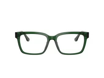 Ferrari FH 4008U 735 55 Men glasses