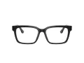 Ferrari FH 4008U 737 53 Men glasses