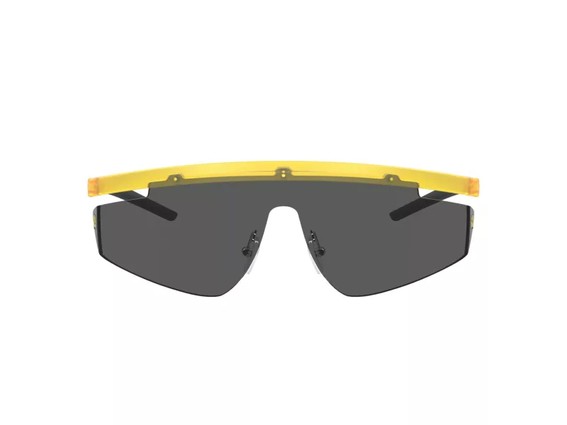 Ferrari Scuderia FZ 6001 507/87 140 Men, Women sunglasses