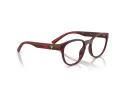 Ferrari Scuderia FZ 8002U 530 50 Men glasses