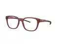 Ferrari Scuderia FZ 8006 508 53 Men glasses