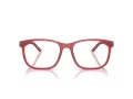Ferrari Scuderia FZ 8011U 519 55 Men, Women glasses