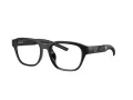Ferrari Scuderia FZ 8017U 501 53 Men, Women glasses
