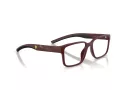 Ferrari Scuderia FZ 8018D 530 53 Men glasses