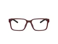 Ferrari Scuderia FZ 8018D 530 55 Men glasses