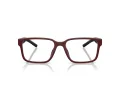 Ferrari Scuderia FZ 8018D 530 55 Men glasses