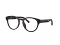 Ferrari Scuderia FZ 8022U 744 49 Men glasses