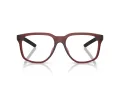 Ferrari Scuderia FZ 8027U 508 53 Men glasses
