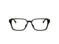 Ferrari Scuderia FZ 8029D 762 54 Men, Women glasses