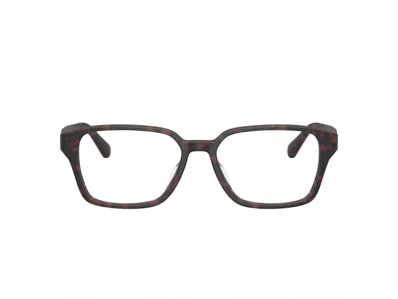 Ferrari Scuderia FZ 8029D 763 54 Men, Women glasses