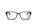 Ferrari Scuderia FZ 8029D 763 54 Men, Women glasses