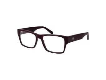 Gant GA 50029 069 55 Men glasses