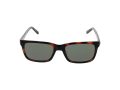 Guess GU 00066 52N 55 Men sunglasses