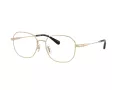 Coach HC 5187D 9005 54 Women glasses