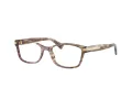 Coach HC 6065 5287 51 Women glasses