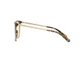 Coach HC 6125 5519 53 Women glasses