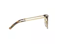 Coach HC 6125 5519 53 Women glasses