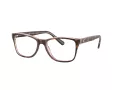 Coach HC 6129 5727 52 Women glasses