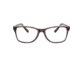 Coach HC 6129 5727 54 Women glasses