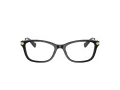 Coach HC 6142 5002 51 Women glasses