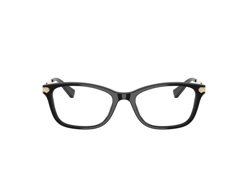 Coach HC 6142 5002 51 Women glasses