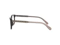 Coach HC 6143 5120 54 Women glasses