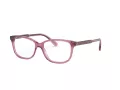 Coach HC 6143 5569 52 Women glasses