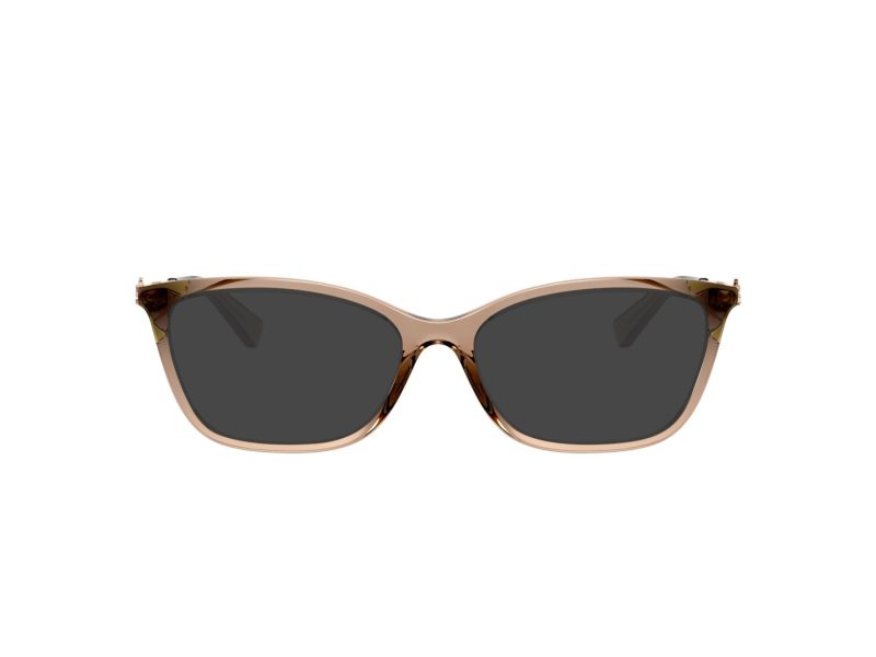 Coach HC 6146U 5561 53 Women glasses