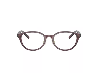 Coach HC 6152D 5677 49 Women glasses