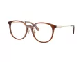 Coach HC 6160D 5847 53 Women glasses