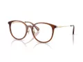 Coach HC 6160D 5847 53 Women glasses