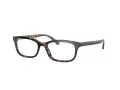 Coach HC 6174 5120 52 Women glasses