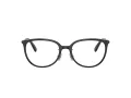 Coach HC 6175D 5002 53 Women glasses