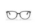 Coach HC 6175D 5002 53 Women glasses