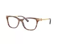 Coach HC 6176 5739 49 Women glasses