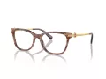 Coach HC 6176 5739 49 Women glasses