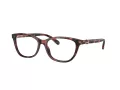 Coach HC 6180 5658 54 Women glasses