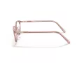 Coach HC 6191BD 5666 54 Women glasses