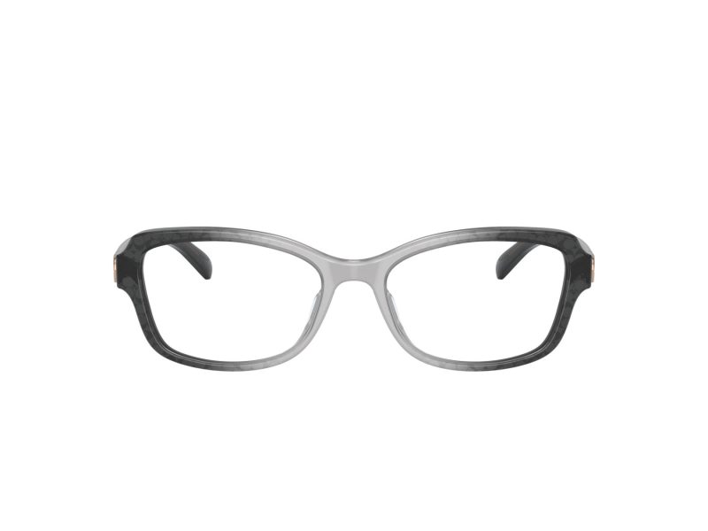 Coach HC 6193U 5710 53 Women glasses