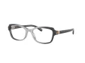 Coach HC 6193U 5710 53 Women glasses