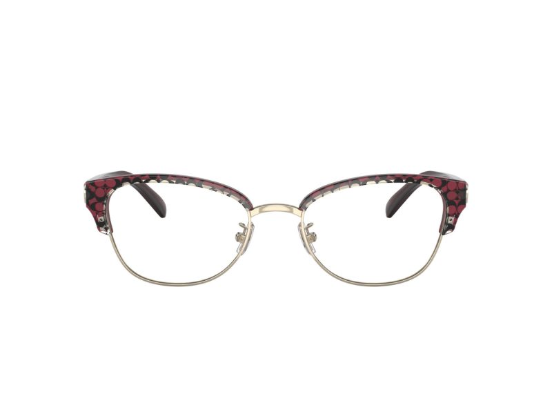 Coach HC 6195 5709 53 Women glasses