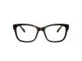 Coach HC 6197U 5120 53 Women glasses