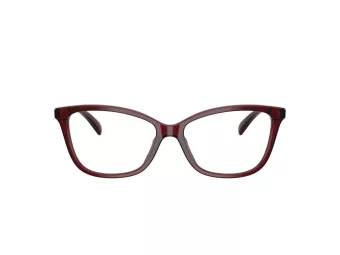 Coach HC 6206U 5393 54 Women glasses