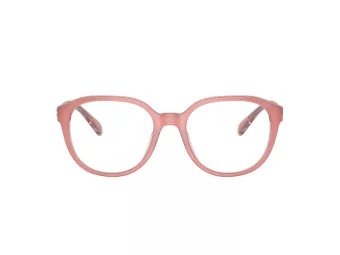 Coach HC 6209U 5743 52 Women glasses