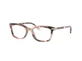 Coach HC 6219U 5528 49 Women glasses