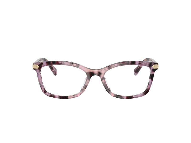 Coach HC 6219U 5777 53 Women glasses