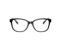 Coach HC 6224U 5781 53 Women glasses